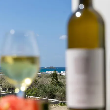 מלון דירות Cezaria Naxos Pláka