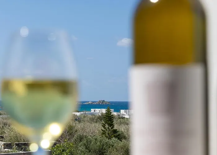 Aparthotel Cezaria Naxos Plaka (Naxos)